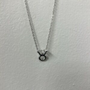 The zodiac necklaces